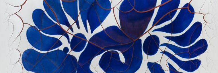 1. La Piel de la Historia :Adriana Varejão